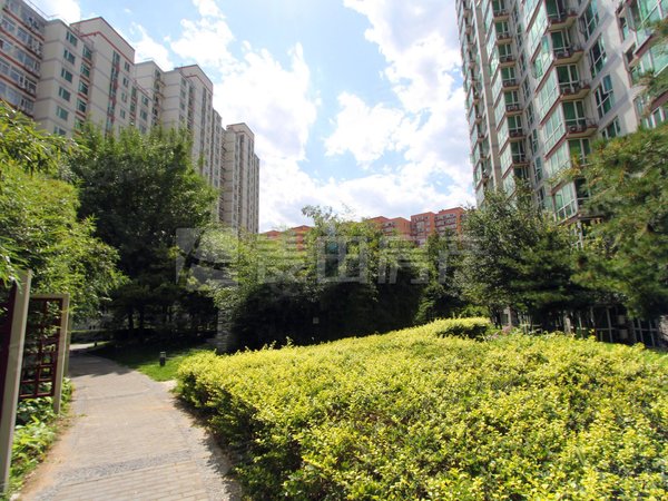 【多图】世纪新景园,北洼路租房,西三环,北洼路,南北通透,位置安静