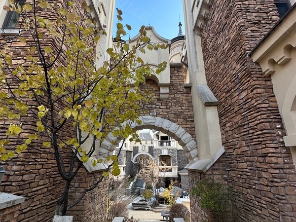 沈阳浑南棋盘山国王湖(别墅)城堡 沈阳之巅 醉牛的房子 城堡出租 美式