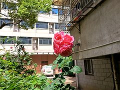 澧县财富广场市中心汇景中央 3室2厅2卫出租房源真实图片