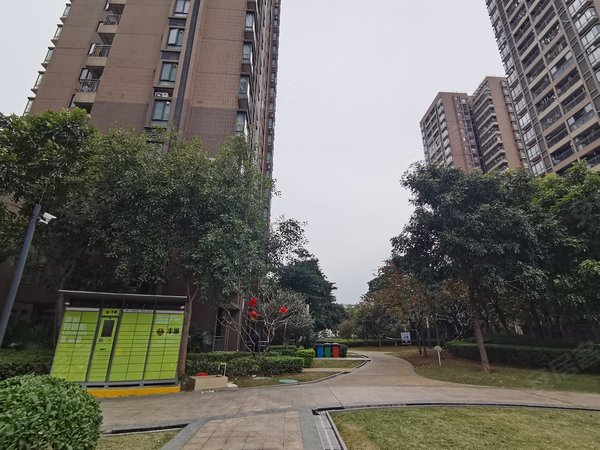 东莞道滘道滘城区沿海丽水佳园沿海丽水佳园 拎包入住3房精装修 南北