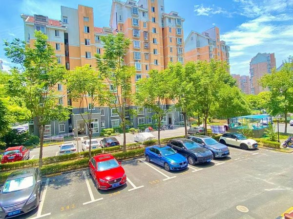 上海闵行华漕爱博三村2022虹桥商务区豪华一室一厅,2号线10号线畅想