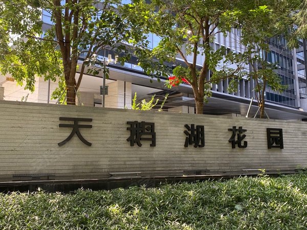 深圳南山华侨城新天鹅堡(一二期)华侨城天鹅湖花园,a栋534平顶楼复式