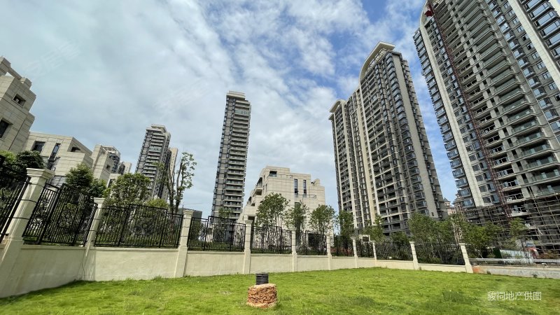 红角洲全线江景联泰天禧大平层价格可谈很多随时看房