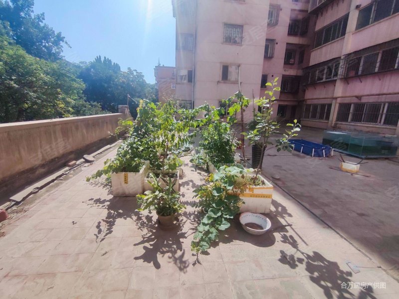 西固城合水路带大露台可先住房再贷款可多带价位好商量