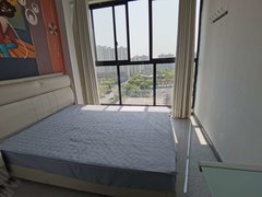 苏州常熟东南开发区凯悦金领公寓 1室1厅1卫 电梯房 精装修40平米出租房源真实图片