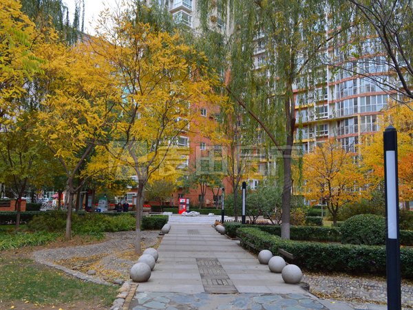 南北通透 4室2厅 中海馥园 有车位 可以长租 高层,海淀租房-北京58