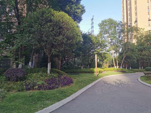 重庆南岸弹子石蓝光coco时代(三期)蓝光coco 位置好 小区新 装修可以