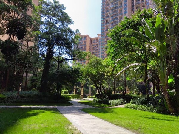 深圳宝安沙井鸿荣源禧园沙井地铁口,禧园,大5房出租,随时可以看房出租