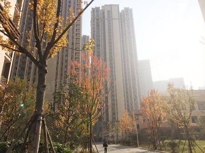 康卓新城,雄楚大道694号 - 武汉康卓新城二手房,租房,房价-武汉安居客