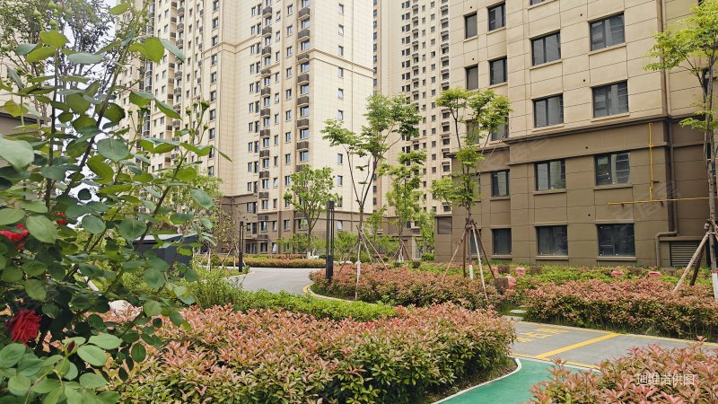 逸景佲园3室2厅2卫115.95㎡南北110万