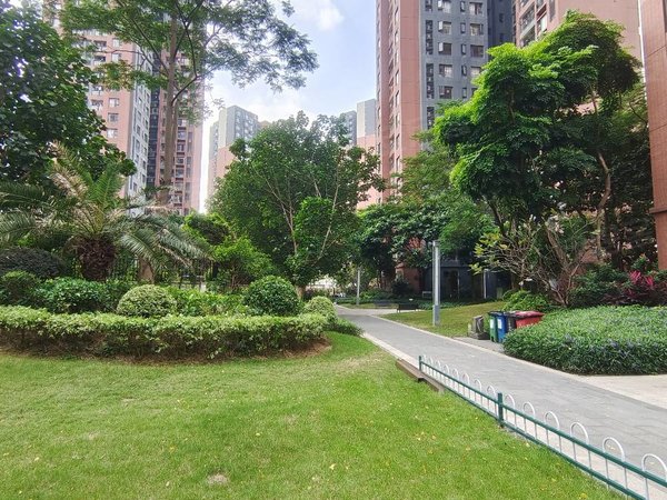 东莞南城南城车站万科金悦香树南城南信旁 万科金悦香树精装高层朝南