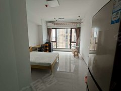 武汉蔡甸恒大绿洲中国健康谷健康新天地 1室1厅1卫  电梯房 精装修43平米出租房源真实图片