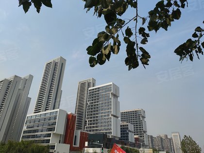 福星惠誉东湖城拾光周边房产中介经纪人评价-武汉安居客