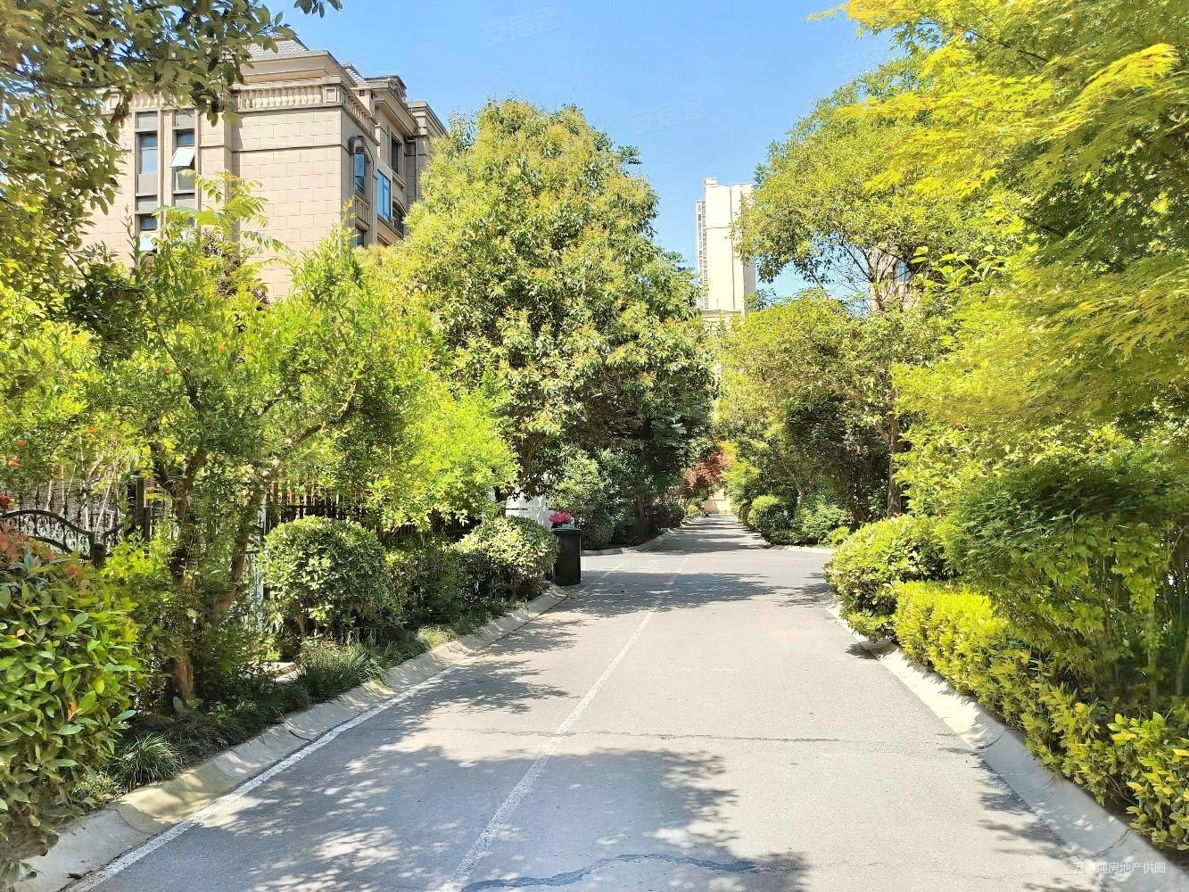 东二环品质叠拼275平南北花园,绿地香树花城二手房,510万,5室2厅,3卫