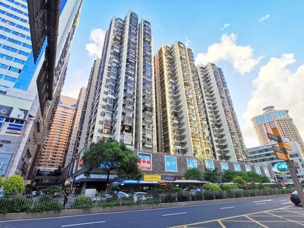 深圳罗湖东门金城大厦(罗湖)新装修两房干净整洁  采光通透看房随时