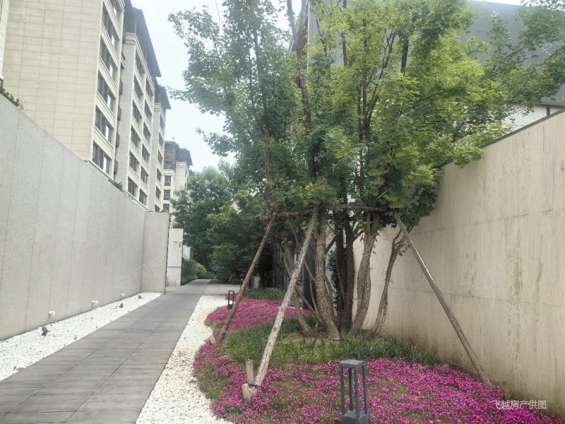 烟台房产网>烟台二手房>蓬莱二手房>紫荆山街道二手房>豪森泰山府>800