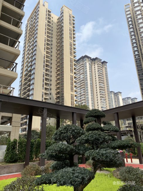 龙光玖誉城悦城商住楼