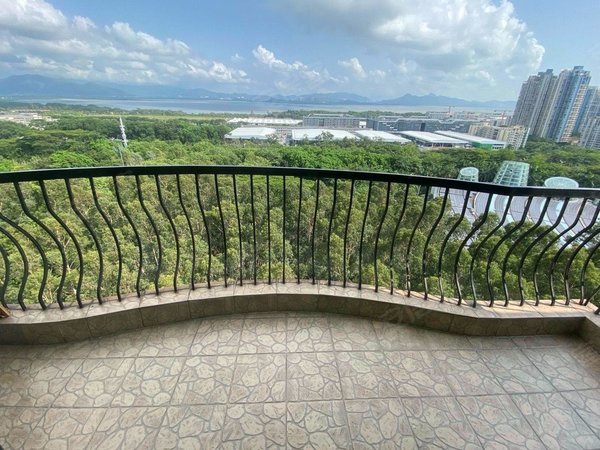 深圳福田竹子林红树林海景花园海天一色 公园里的家 阳台可观山海景观