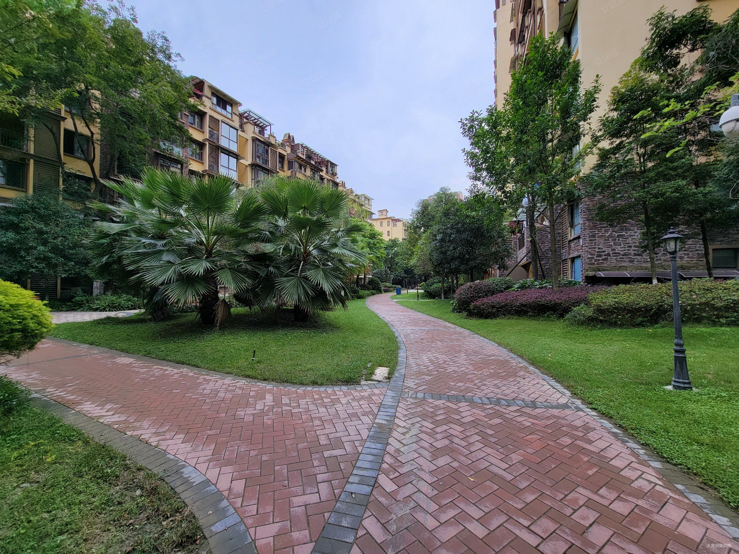 金领格兰维亚7室3厅4卫180.86㎡南150万