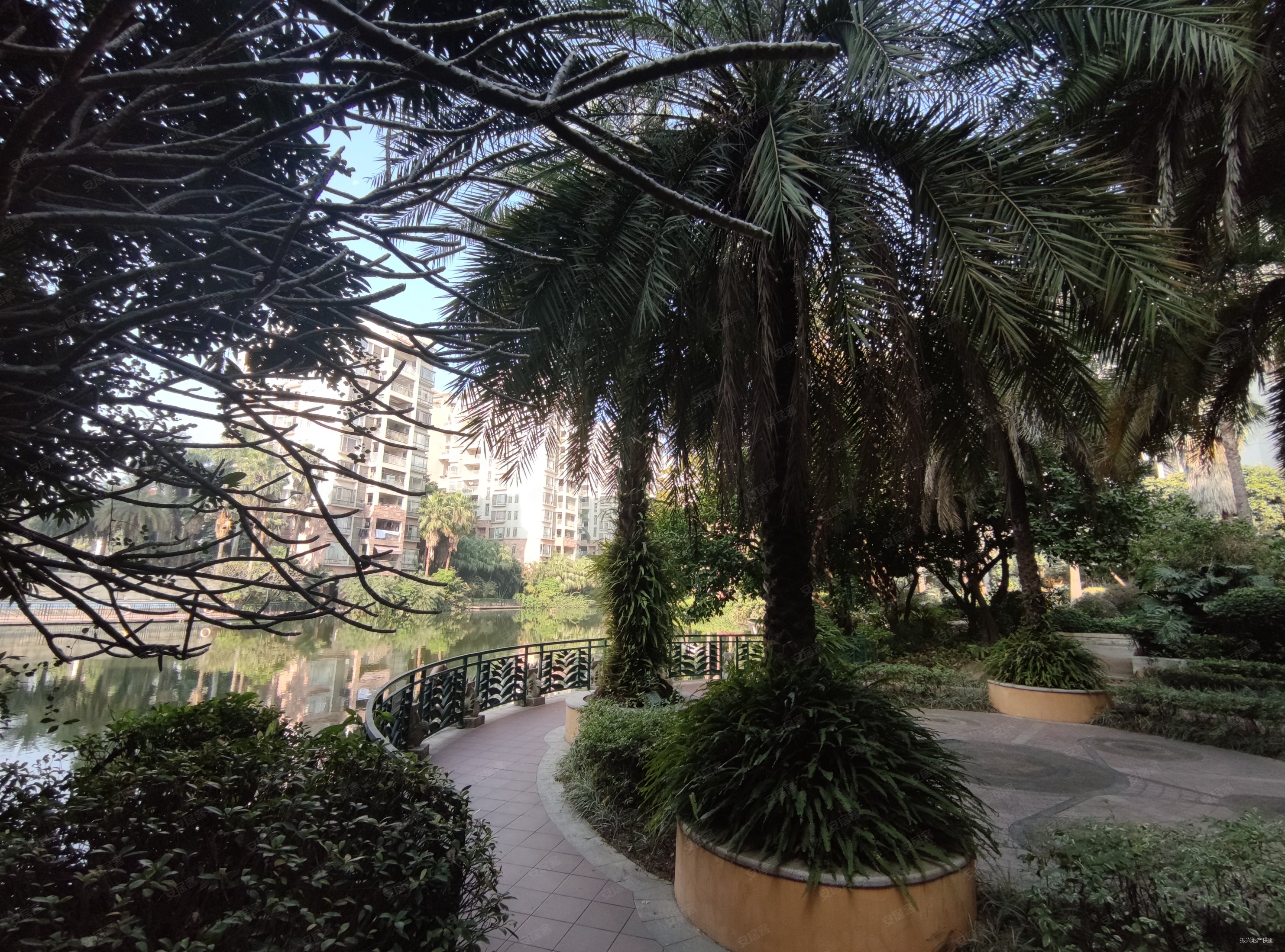 小榄阳光美加大三房保养好满五