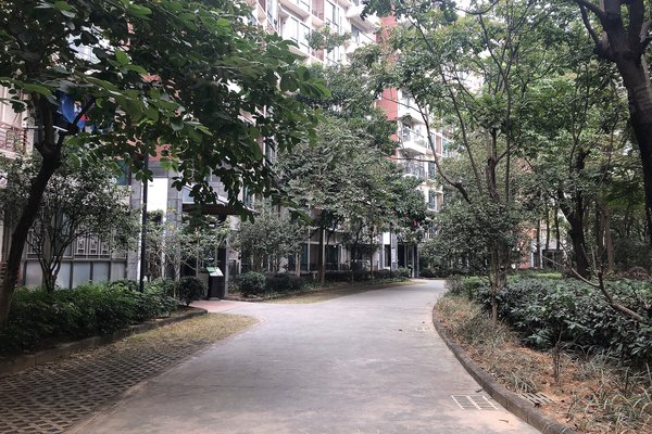 新中银金色华庭