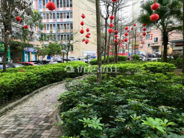 南宁江南白沙大道宝丰园宝丰大厦急租荣宝华商圈 1800精装两房两卫