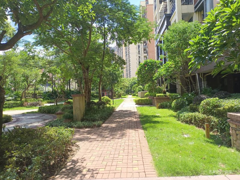 仲恺公园旁成熟花园小区毛坯四房两厅两卫两阳台南北通透光线充足,半