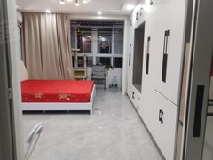 阜宁阜宁城南新区白天鹅公园学府壹号公寓  朝南带阳台 精装拎包就住 民用水电 随时看房出租房源真实图片