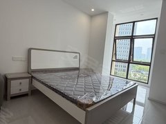 南通开发区能达商务区能达 携程盛景嘉城 精装修 拎包入住 1室1厅1卫出租房源真实图片