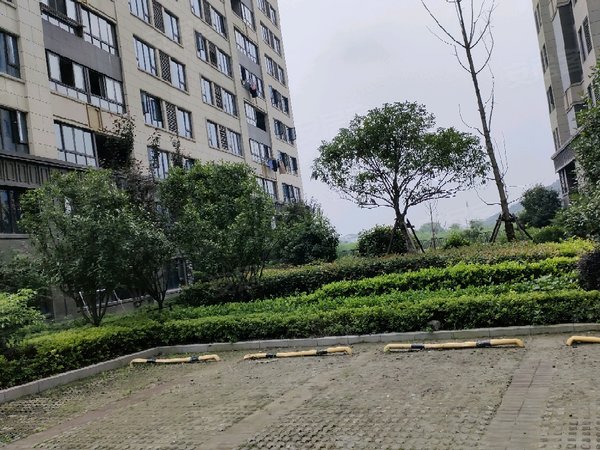 绍兴柯桥湖塘新城棠樾新城棠樾 3室2厅2卫出租房源真实图片