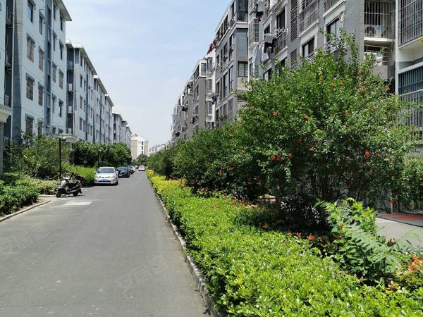 苏州吴江同里紫来华府(南区)紫来华府南区,精装修,3房2厅2卫2700月,高