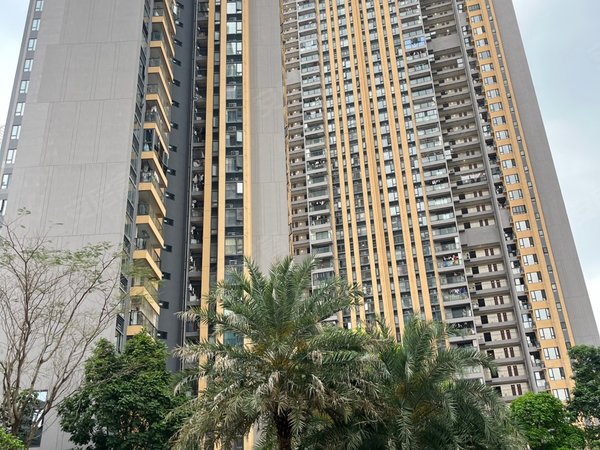 平湖佳兆业广场 3室2厅1卫 90平 精装修 电梯房,龙岗租房-深圳58安居