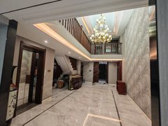 乌鲁木齐米东卡子湾会展中心 室内带电梯 联排大边户  带500平花园 停车便利出租房源真实图片