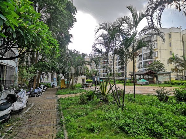 南宁江南白沙大道江南新兴苑(南区)江南新兴苑南区 春之语三房两厅