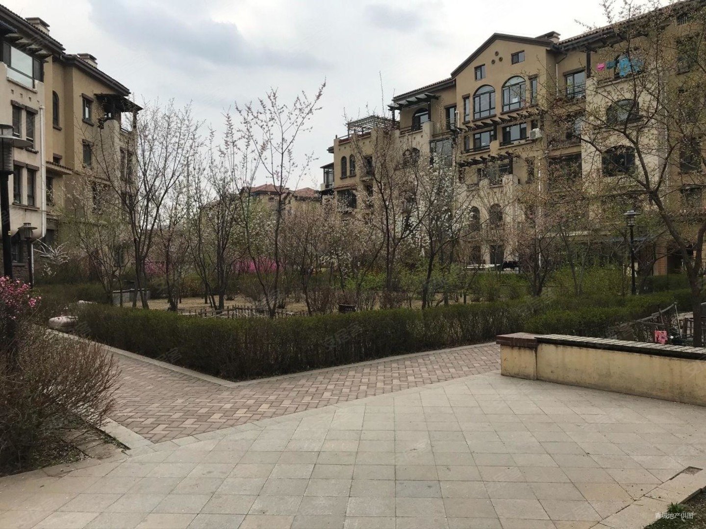 中东急售帕萨迪纳电梯6楼南北向随时看