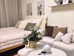 鞍山海城永安路嘉和公寓 1室1厅1卫 电梯10楼 精装修 40平 随时看出租房源真实图片