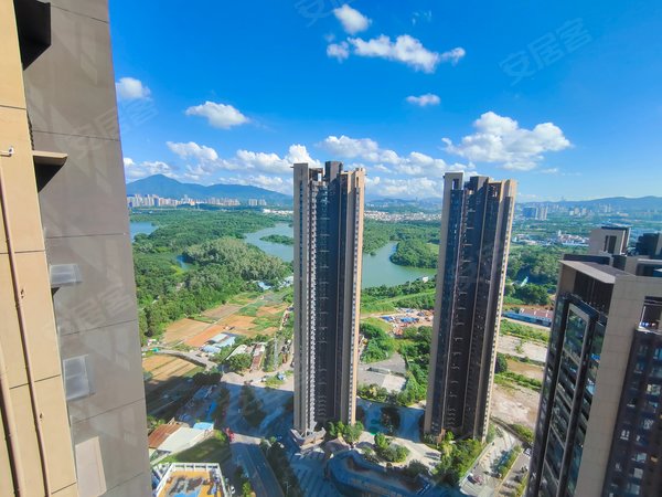 深圳龙岗平湖特发天鹅湖畔特发天鹅湖畔 4室2厅2卫 精装修 空房 可以