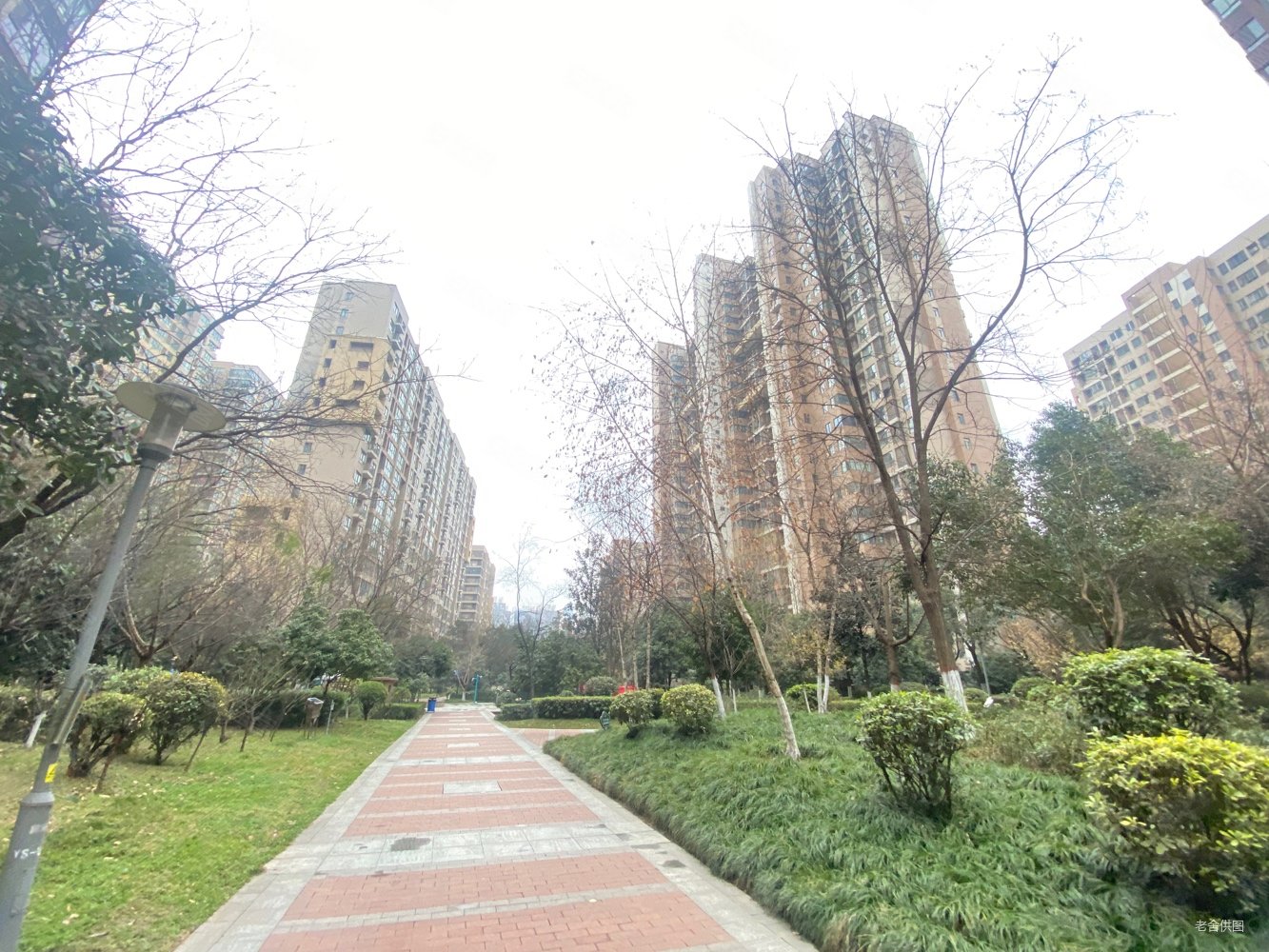 天地源枫林意树