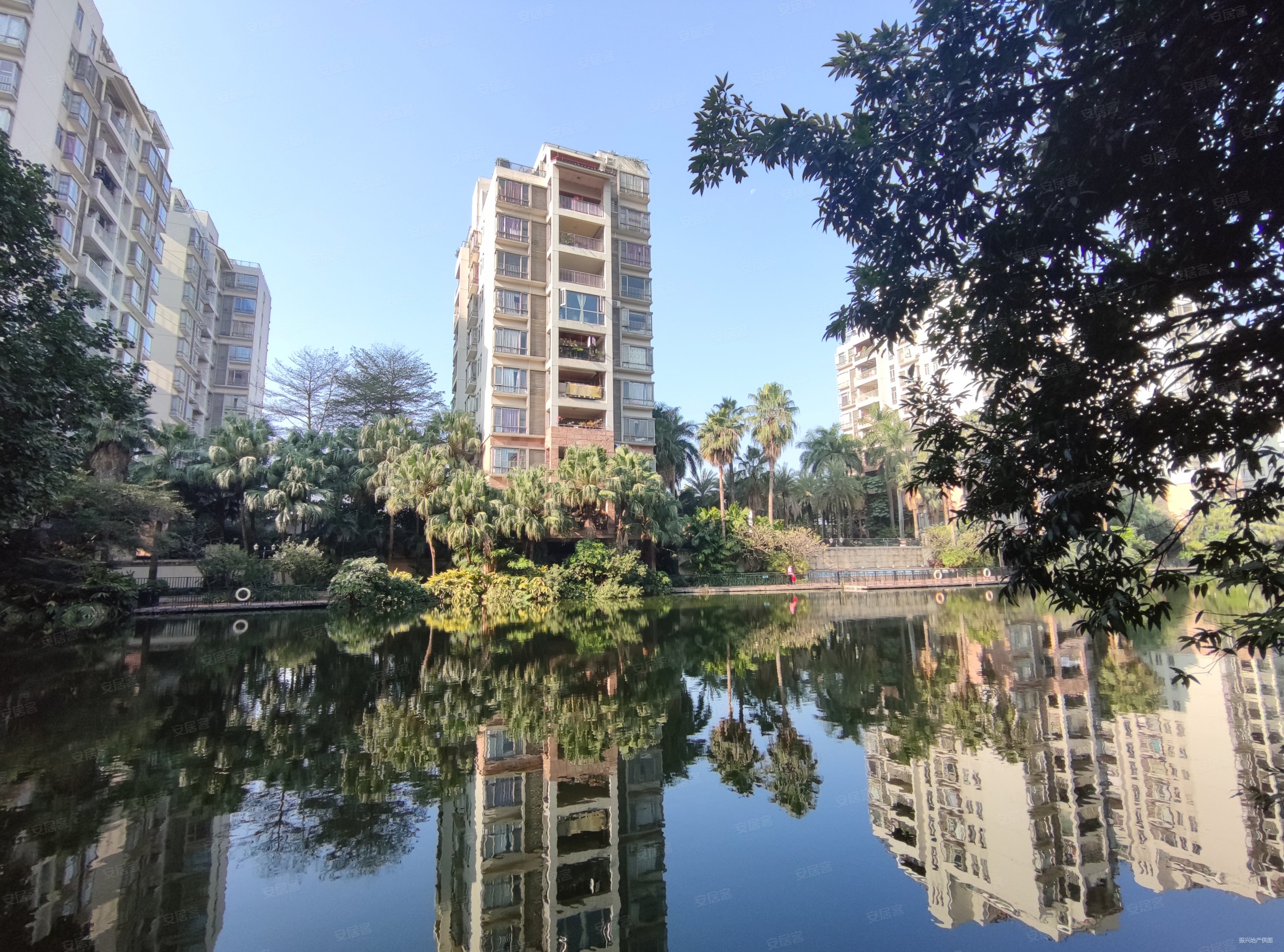 小榄阳光美加大三房保养好满五