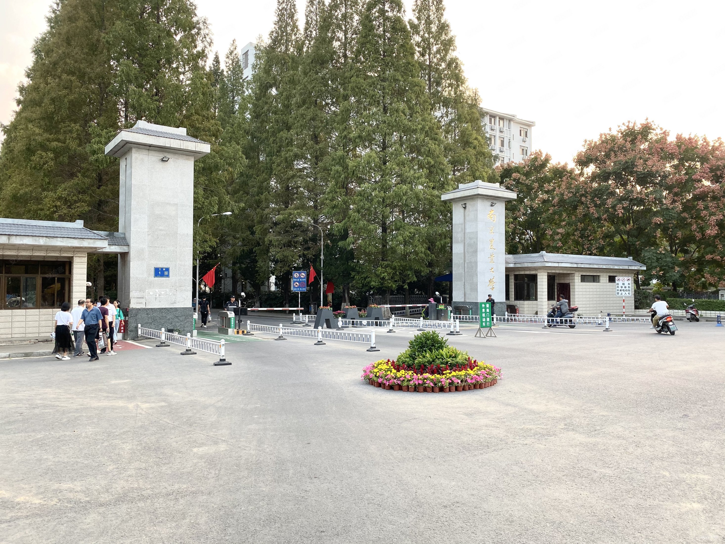 51平米-南京安居客