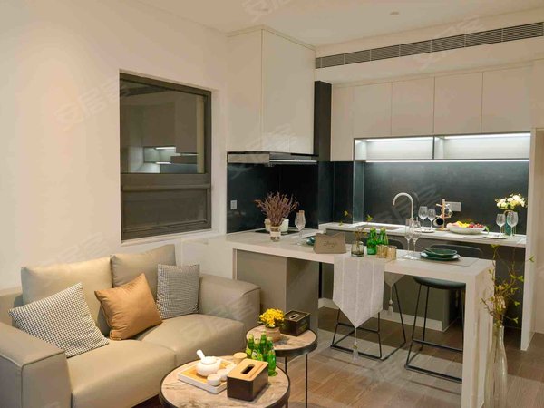 洛阳涧西牡丹广场澜京公馆广州市场 牡丹广场 地铁口 精装一室 拎包