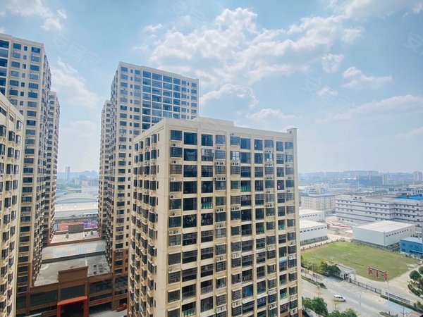 南宁西乡塘安吉大塘郡府超大阳台!