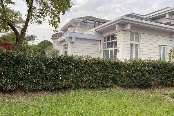 上海小区 奉贤小区 海湾小区 海湾艺墅三期(别墅) 海湾艺墅三期(别墅)