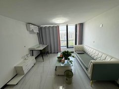 长沙天心涂家冲涂家冲地铁附近力高凤凰新天地精装loft两房家电齐全拎包入住出租房源真实图片