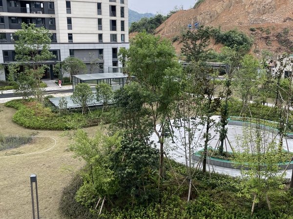 杭州临安临安城区花漫里(临安)医学院旁边花漫里3室2厅2卫精装修带