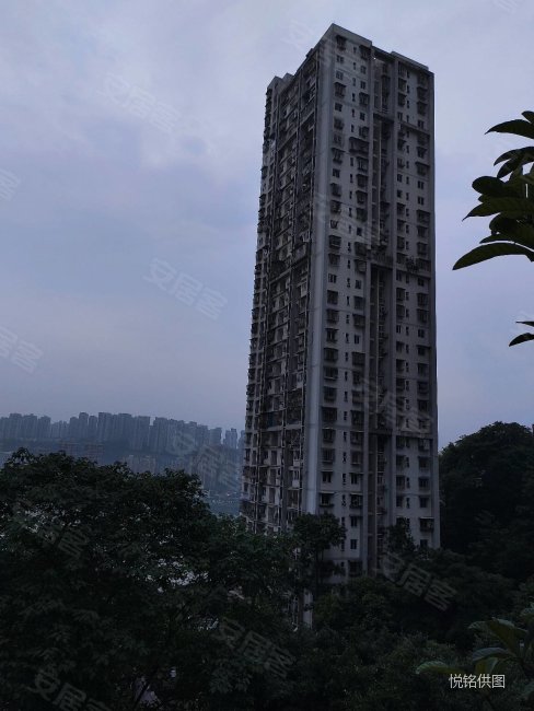 必看特价房,钱塘玫瑰湾,地铁房,精装大两房,拎包入住.