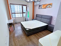 曹县曹县城区曹城城区银座旁 幸福人家  精装带看  押一付一出租房源真实图片