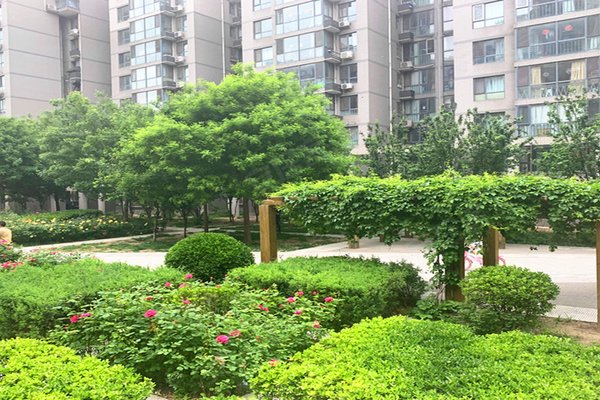 新景家园(东区)