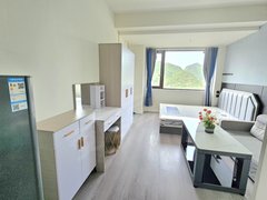 贵阳云岩头桥可短租喷水池 延安西路地铁口 黔灵山公园 黄金壹号一室一厅出租房源真实图片