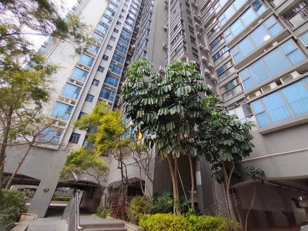 深圳宝安福永御林山景福永凤凰山 御林山景 精装大三房 第一次出租